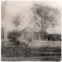 Buckshot Facelift – Elder’s Rasp